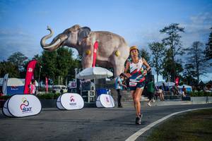 BIB: 
                            <button type="button" onclick="openModal(26541924)" class="btn btn-primary btn-sm float-right btn-popup" data-toggle="modal" data-target=".modal-high-quality">
                        <i class="fas fa-shopping-cart"></i> Add to Cart
                    </button>
                                            <button type="button" onclick="isThisMe(26541924, true)" class="btn btn-success btn-sm float-right btn-popup btn-isme hidden" data-toggle="tooltip" data-placement="bottom" title="นี่คือรูปของคุณใช่ไหม คลิกที่นี่เพื่อเอาเข้าอัลบั้ม">
                        <i class="fas fa-plus"></i> Add to album
                    </button>
                    <button type="button" onclick="isThisMe(26541924, false)" class="btn btn-warning btn-sm float-right btn-popup btn-isnotme hidden">
                        <i class="fas fa-ban"></i> Remove from album
                    </button>